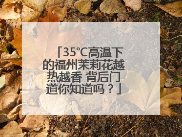 35℃高温下的福州茉莉花越热越香 背后门道你知道吗？