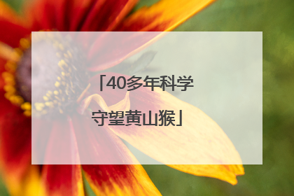 40多年科学守望黄山猴