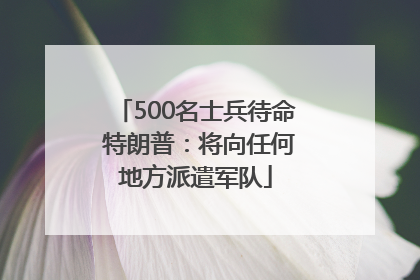 500名士兵待命 特朗普：将向任何地方派遣军队