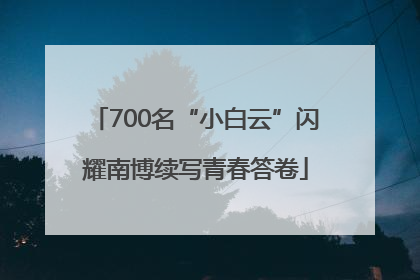 700名“小白云”闪耀南博续写青春答卷