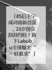 85后王宁成河南新首富，23岁创立泡泡玛特！旗下Labubu全球爆火“一娃难求”