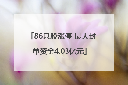 86只股涨停 最大封单资金4.03亿元