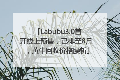 Labubu3.0首开线上预售，已排至8月，黄牛回收价格腰斩