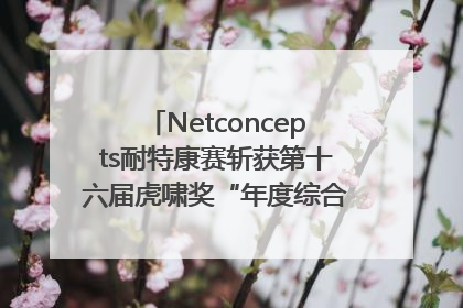 Netconcepts耐特康赛斩获第十六届虎啸奖“年度综合服务商”大奖