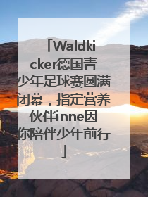 Waldkicker德国青少年足球赛圆满闭幕，指定营养伙伴inne因你陪伴少年前行