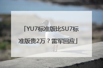 YU7标准版比SU7标准版贵2万？雷军回应